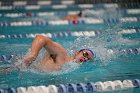 Swim vs Bentley  Wheaton College Swimming & Diving vs Bentley University. - Photo by Keith Nordstrom : Wheaton, Swimming & Diving